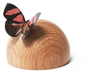 capricare goats milk